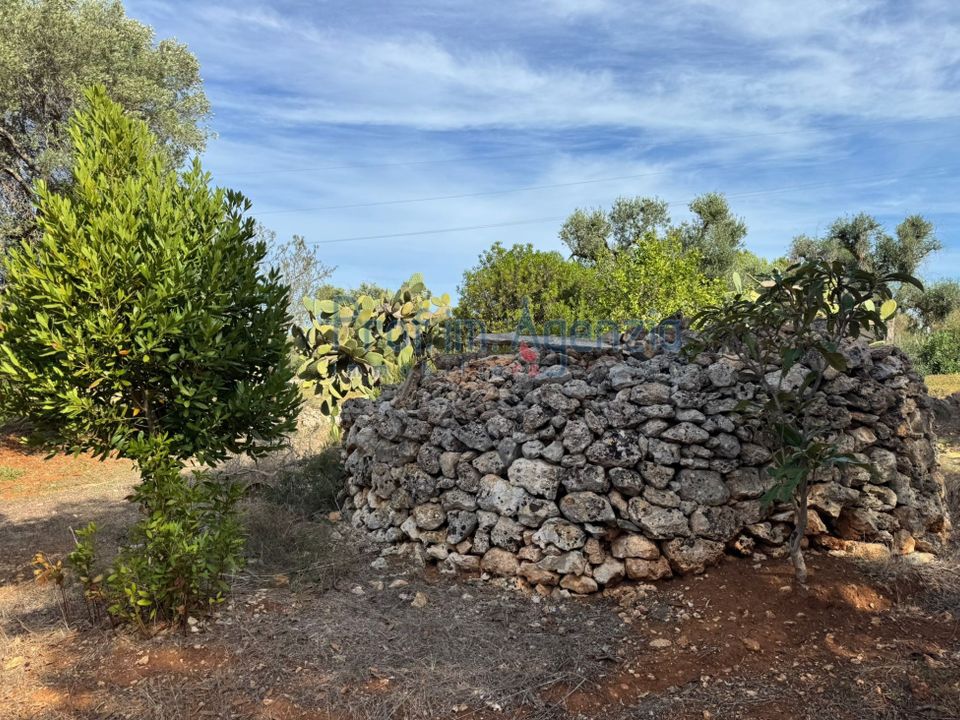 Helårsgrund i Carovigno, Brindisi - foto 2